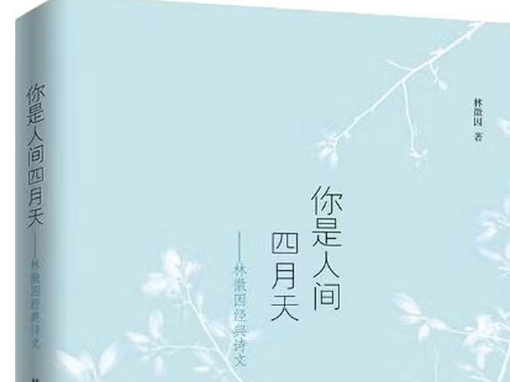 《你是人间四月天》
