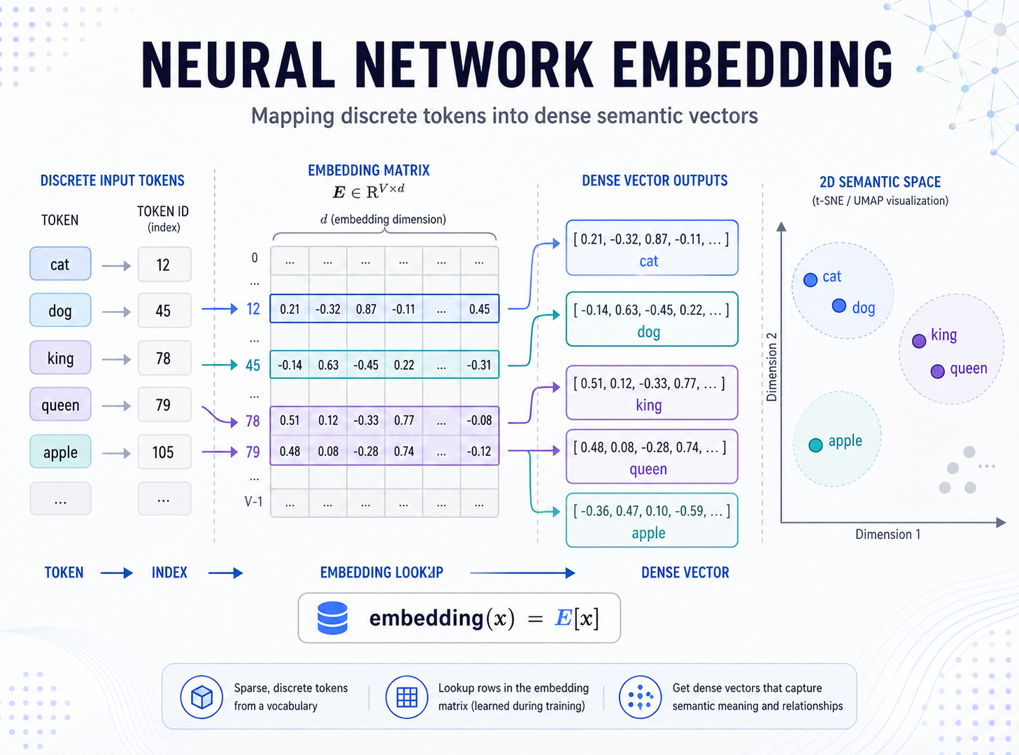 深度学习里的 Embedding 层：从 one-hot 到稠密向量